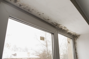 'The Hidden Dangers of Lingering Odors: Why Ignoring Can Cost You This Spring' Featured Image The Hidden Dangers of Lingering Odors: Why Ignoring Can Cost You This Spring