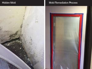 Commercial Mold Remediation in Office Building