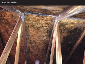 Attic Mitigation and Water Damage Restoration in Novi, MI