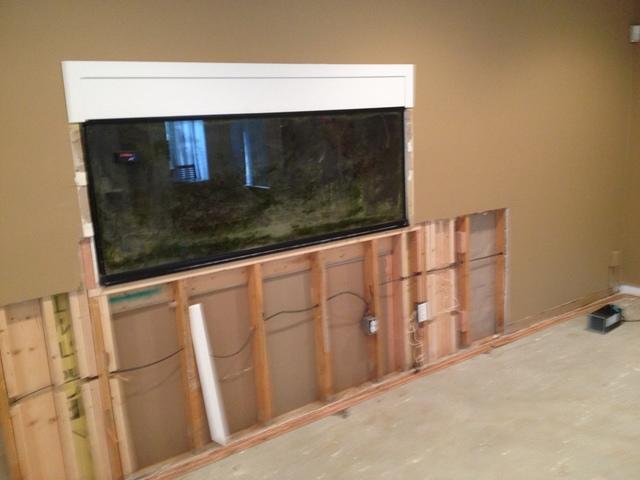 Leaking Aquarium