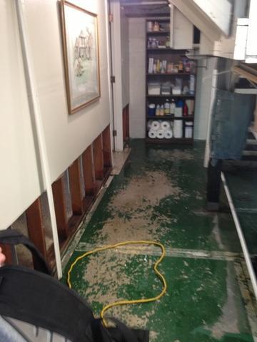 Flooded Basement in Birmingham, MI