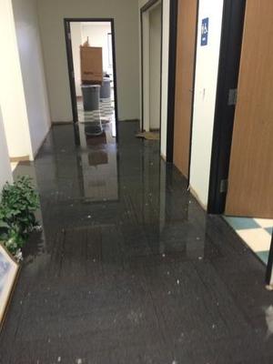 Pipe Break and Water Damage Repair in Madison Heights, MI