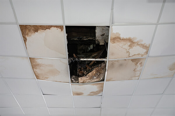 Commercial Water Damage Restoration company near me