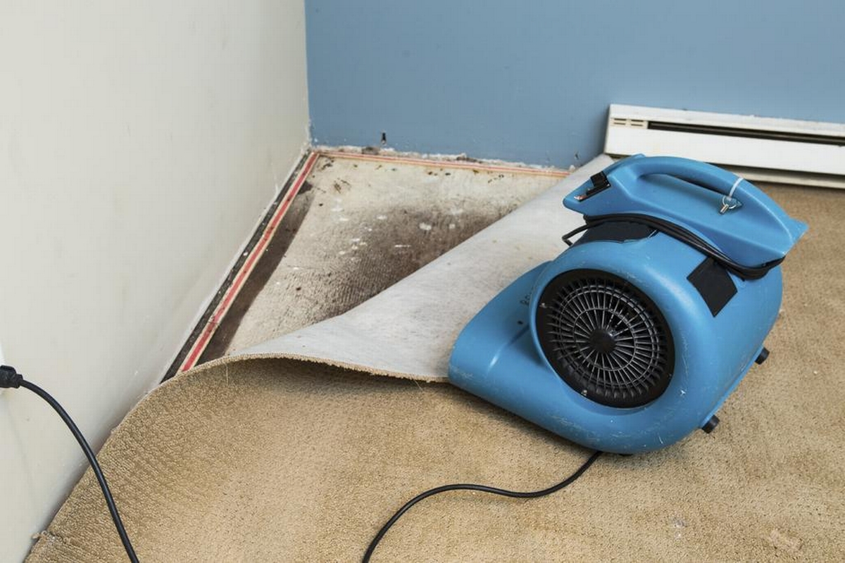 How Mold Damage Restoration Companies Are Enhancing Customer Satisfaction
