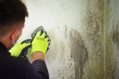 Understanding Mold Removal: A Comprehensive Guide from Purofirst Disaster Services