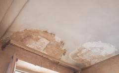 Signs of Water Damage Every Homeowner Should Watch For