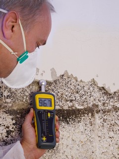 [Tips] When Mold Inspection Fails in Louisville, KY: What Happens Next?