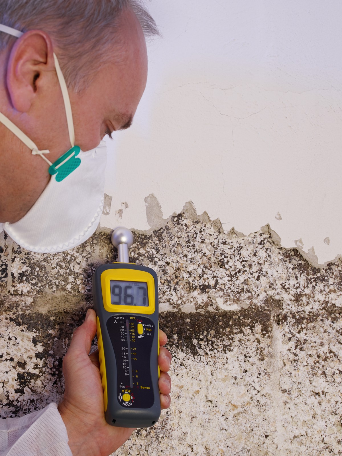 [Tips] When Mold Inspection Fails in Louisville, KY: What Happens Next?