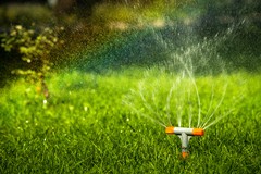 All About Water Restrictions in Louisville, KY and What Property Owners Should Expect