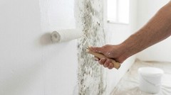 What Happens If You Paint Over Mold on Walls or Wood