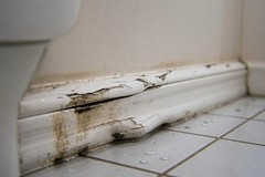 Water Damage on Baseboard in a Bathroom: What It Means