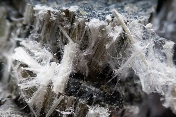 Asbestos Removal