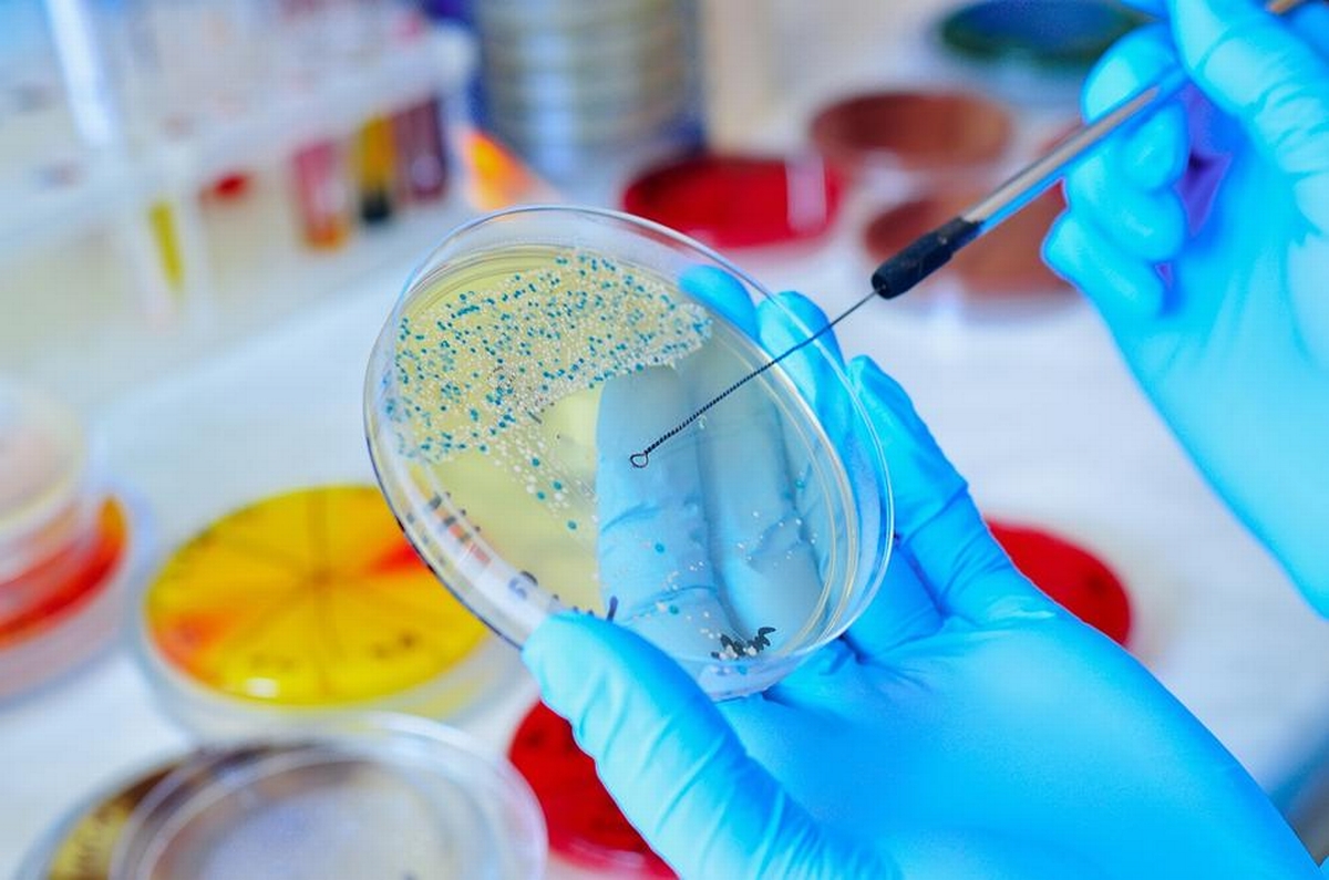 Understanding the Different Types of Mold in Homes