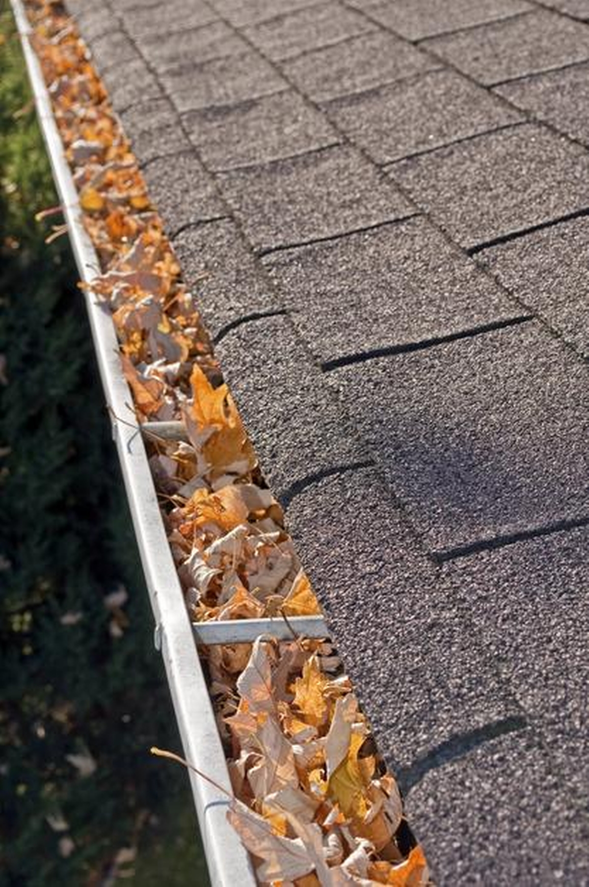 Can Clogged Gutters Cause Water in Basement Problems?
