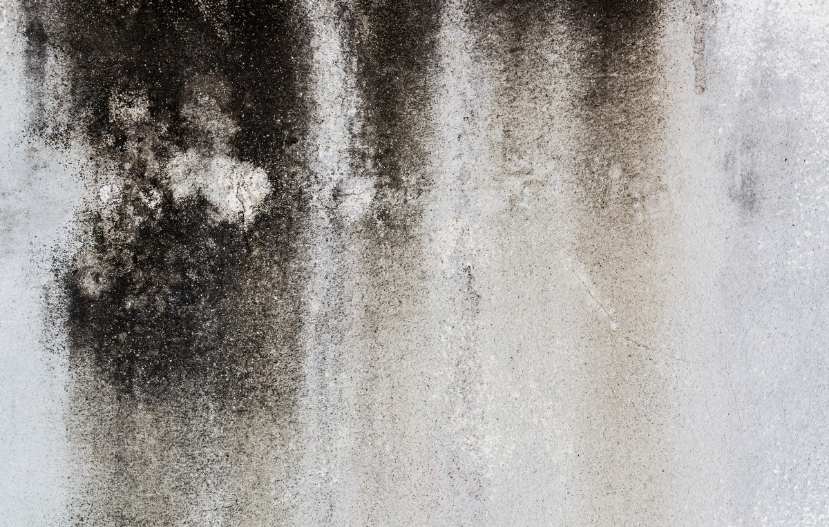 After Fire Damage, Why Mold Can Become a Serious Concern