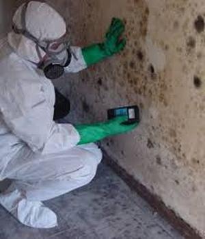 0BE22AA6-mold4.jpg