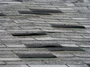 shingle maintenance tip: repair damaged shingles | TruHome Inc providing remodeling, roofing, windows, concrete floors, and siding services in Monroe, WI and Tristate area