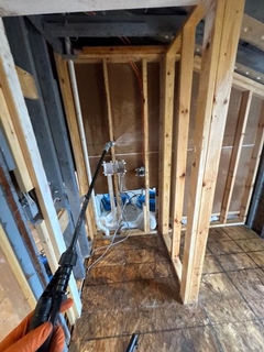 The Future of Mold Remediation: Top Innovations Transforming the Industry Today