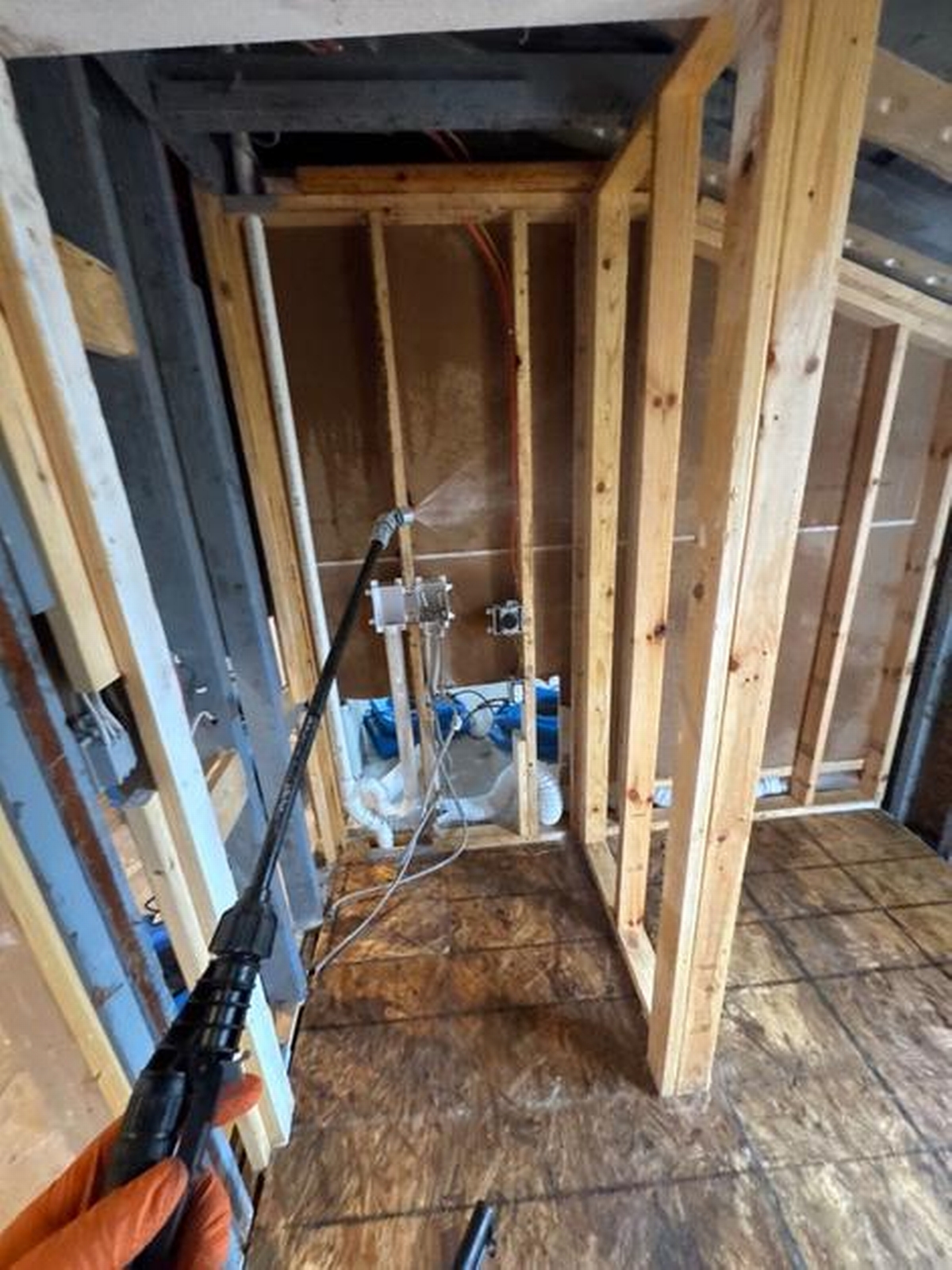 The Future of Mold Remediation: Top Innovations Transforming the Industry Today