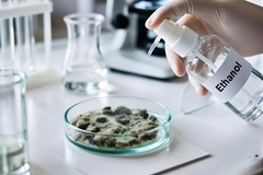 Does Alcohol Kill Mold and Is It Effective?