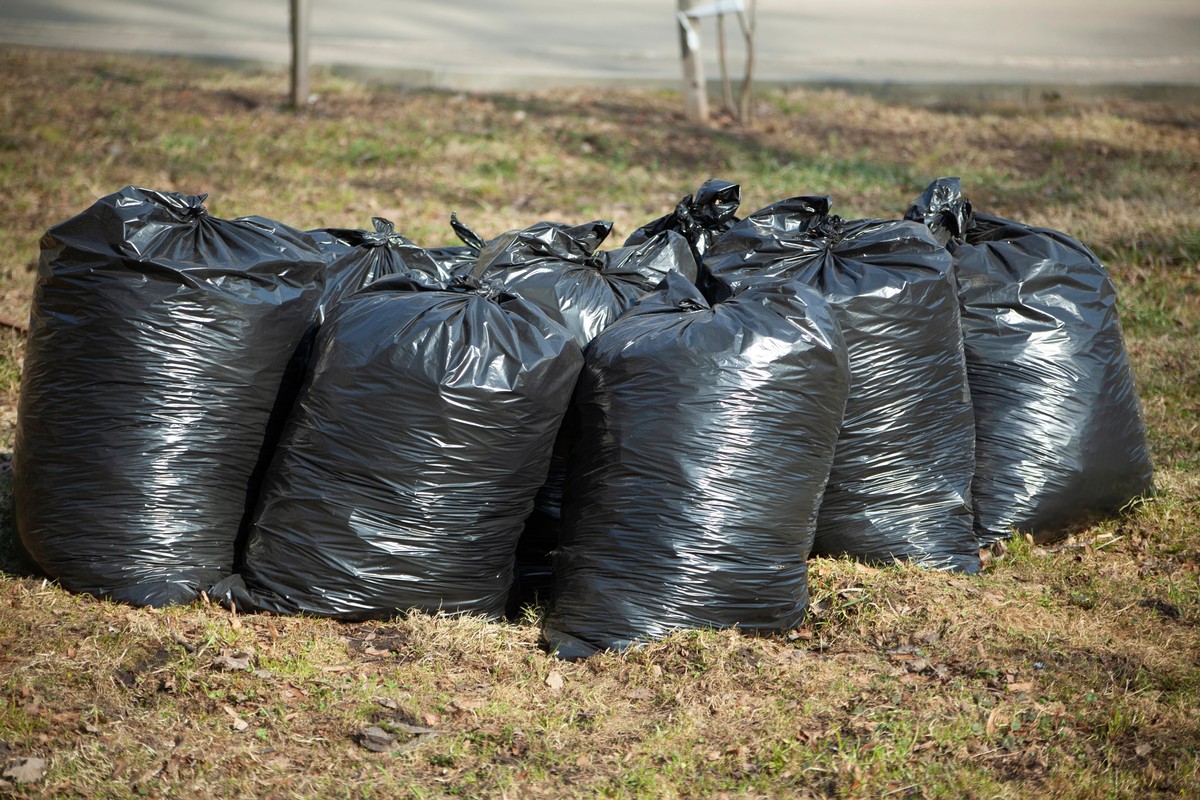 [Homeowner Guide] Yard Waste in Madison, WI and Where to Dispose of It