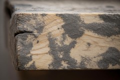 On Wood Surfaces, What Kills Black Mold Effectively?