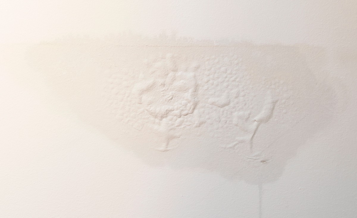 When Paint Starts Bubbling, Is Water Damage the Reason?