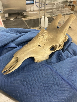 Hand-Clean Textile Restoration: How High-Value Garments Are Saved After Smoke and Soot Damage