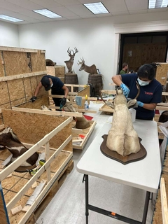 The Ultimate Guide to Sculpture Restoration: How Experts Preserve Valuable Art After Fire, Water, Smoke, and Environmental Damage