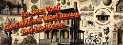 The Scary Truth About Mold and Water Damage: Real-Life Horrors