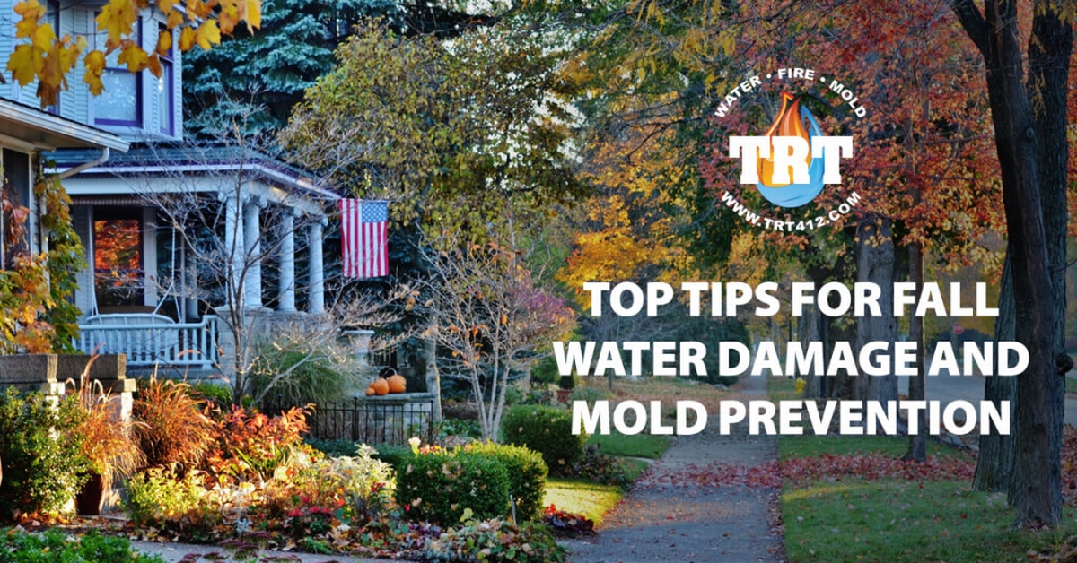 Fall Into a Mold-Free Season: Top Tips for Water Damage and Mold Prevention