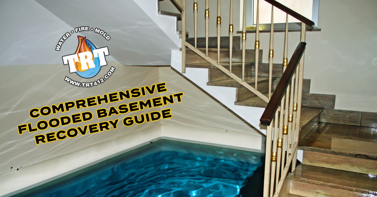 The Restoration Team’s Comprehensive Flooded Basement Recovery Guide: Tackling Sewage, Category 2 & 3 Water, and More!
