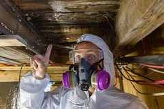 When to Call a Mold Remediation Specialist for Help