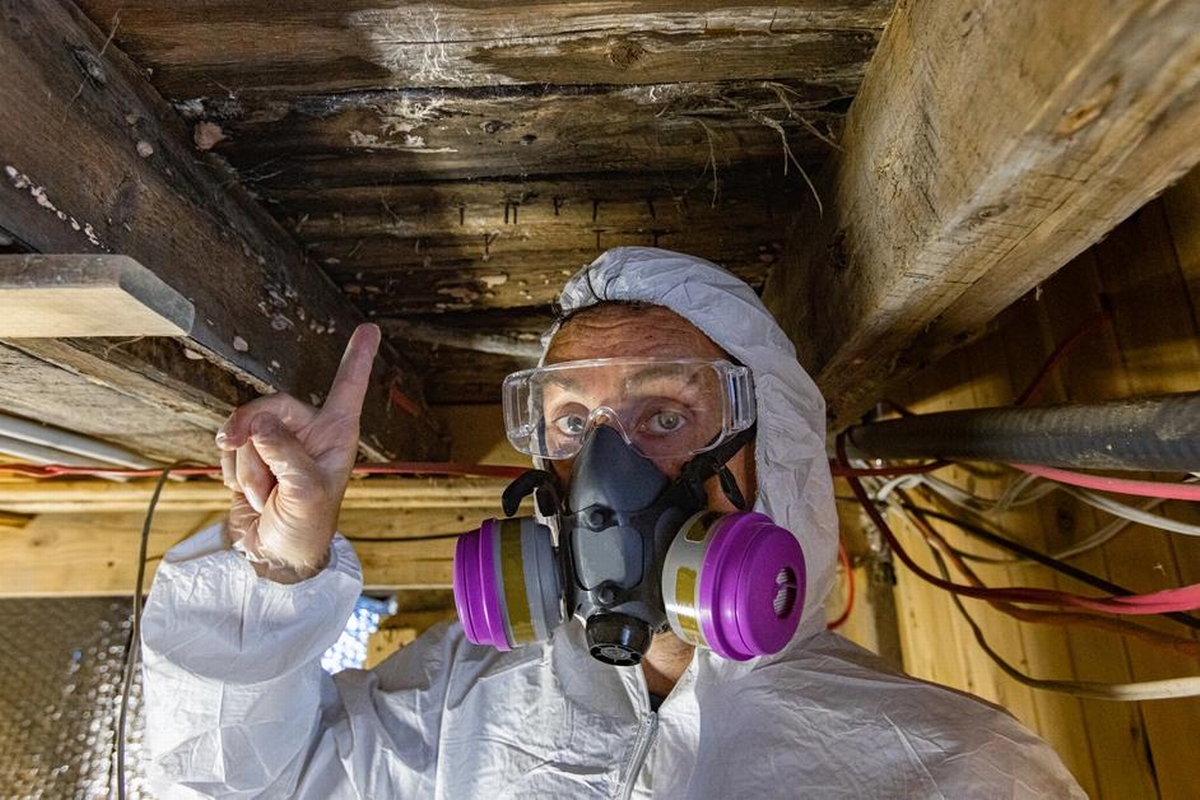 When to Call a Mold Remediation Specialist for Help