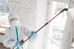 What Does a Mold Specialist Do During Remediation?