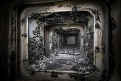 Dealing with Mold Invading Your Home and Office Air Spaces