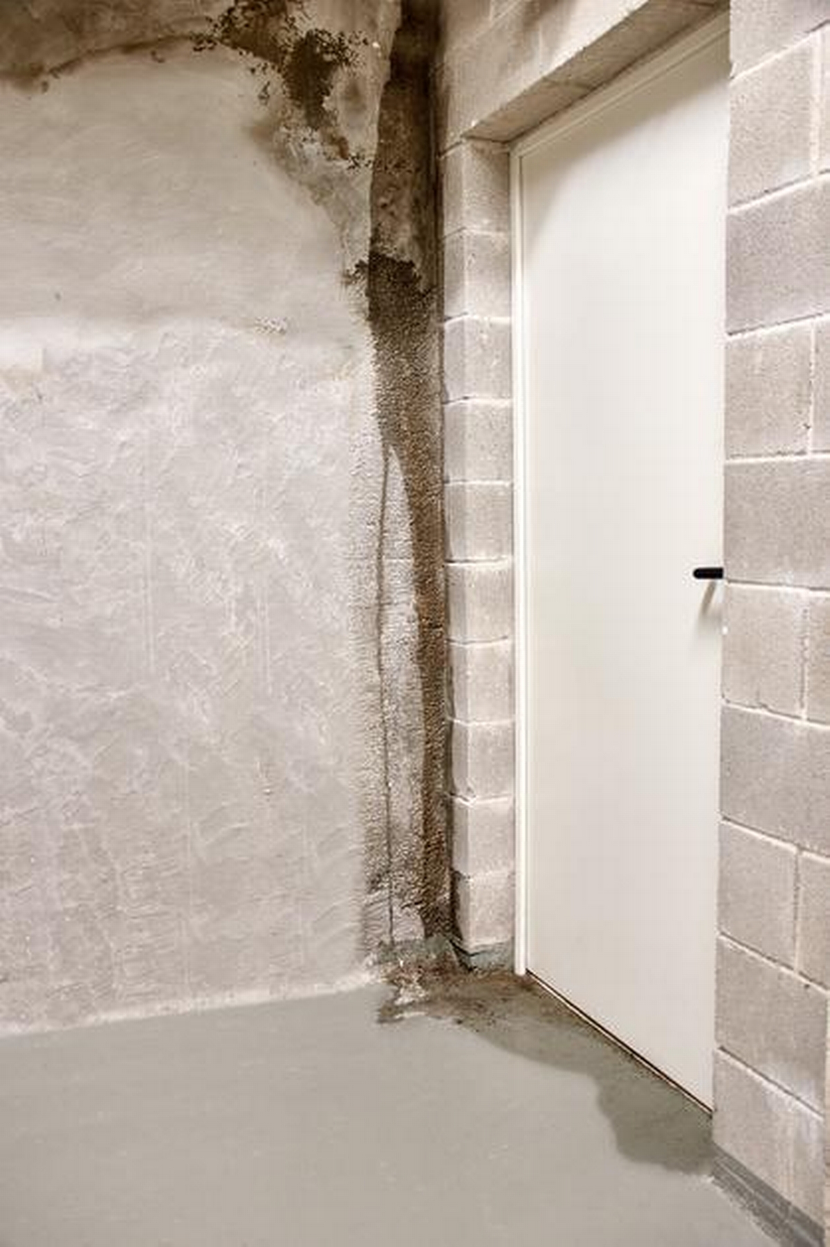 Water Damaged Siding: Repair Tips and Costs