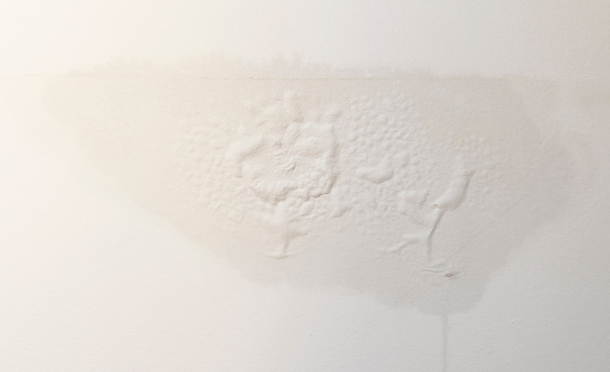 Basement Warning Signs: How to Spot Water Intrusion Early