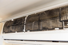 Black Mold in Air Conditioner Unit: 6 Signs and Solutions
