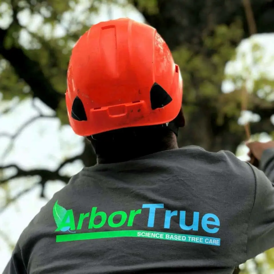 ArborTrue Professional Arborist