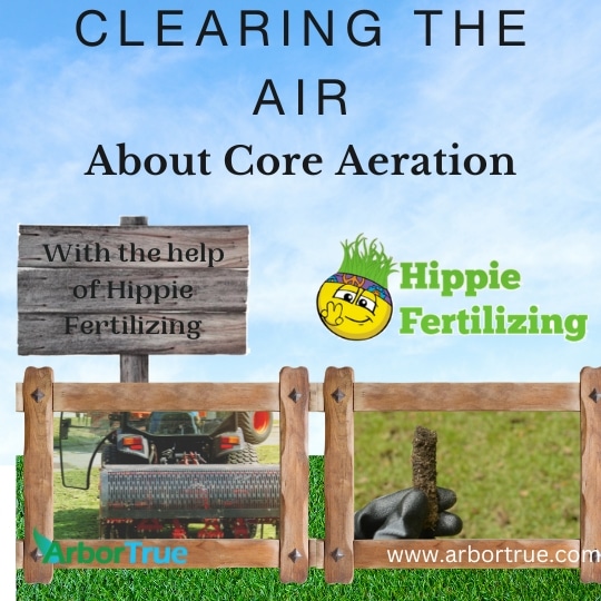 Clearing the Air Final Blog