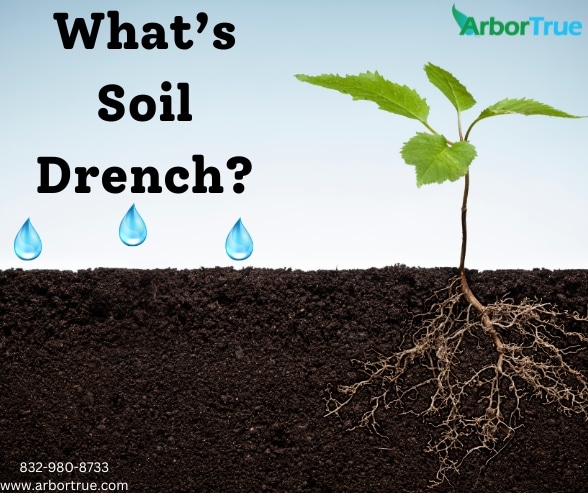 What's Soil Drench