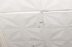 Water Dripping From Ceiling and How to Stop the Damage