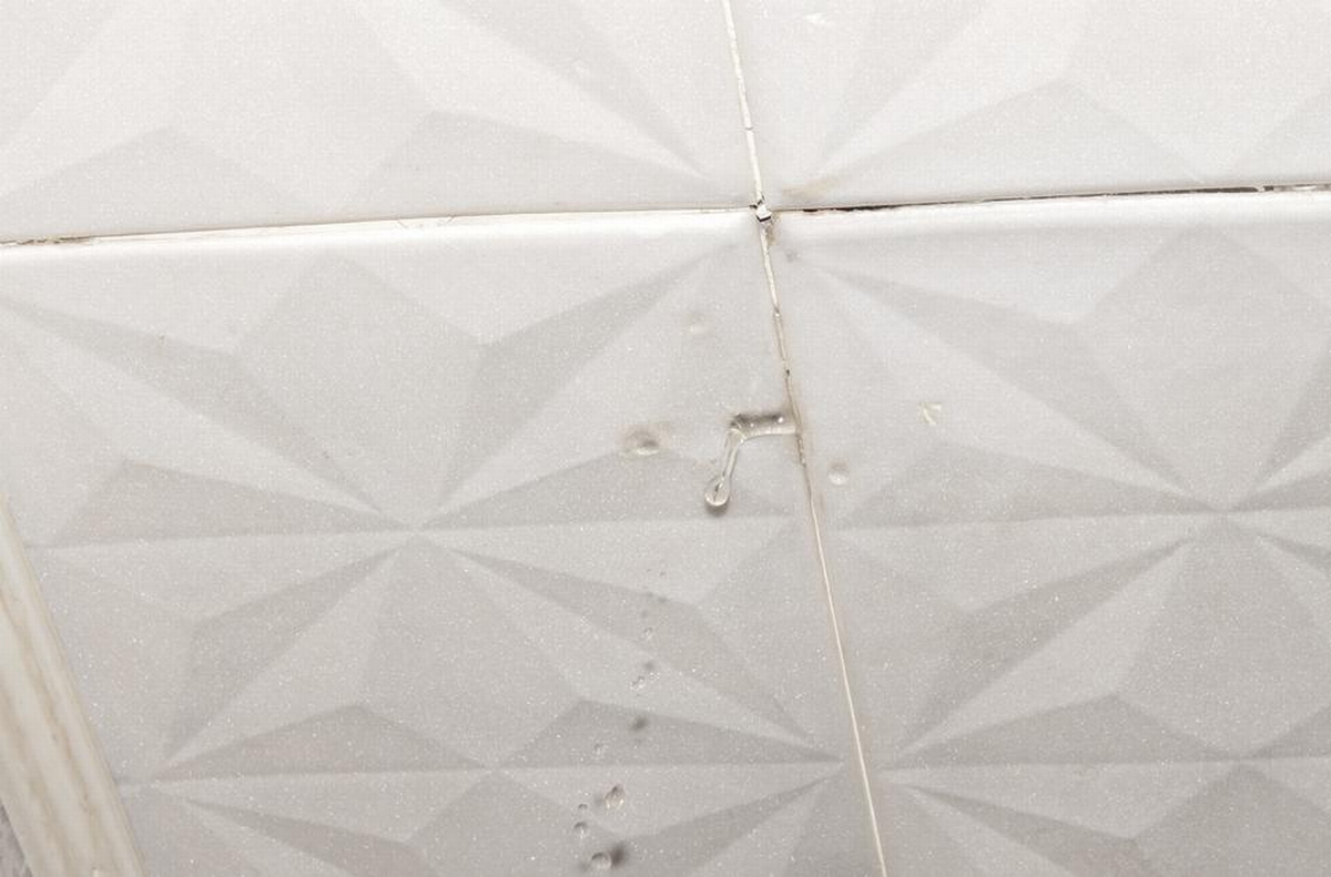 Water Dripping From Ceiling and How to Stop the Damage