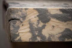 Learn About Black Mold vs Wood Rot - What Homeowners Should Know