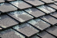 Mold on Roof Shingles: Causes and Prevention