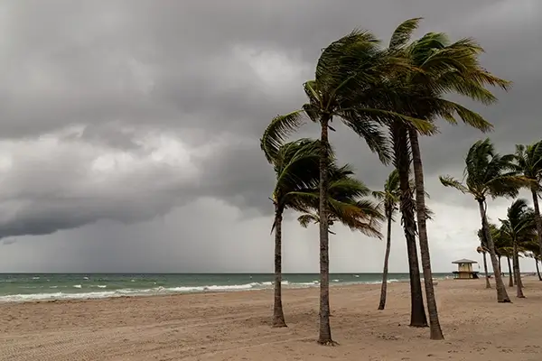 Storm Damage Restoration