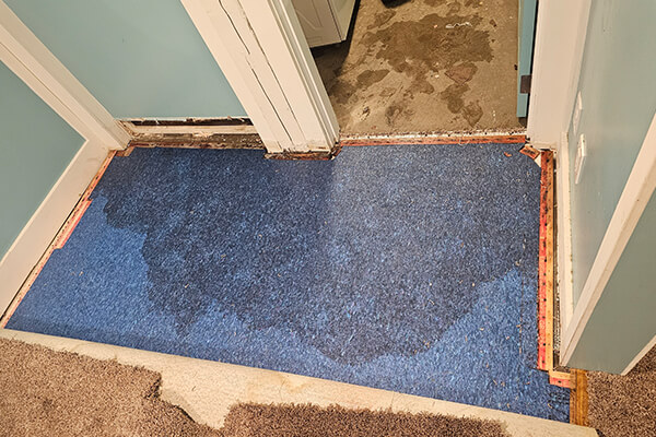 Water Damage Restoration in Kennewick, Pasco, and Richland