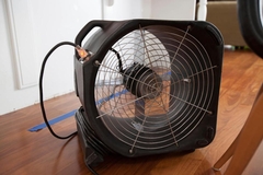 Budget-Friendly Water, Fire, and Mold Damage Restoration Tips