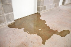Backed Up Sewage in Basement: What to Do Immediately